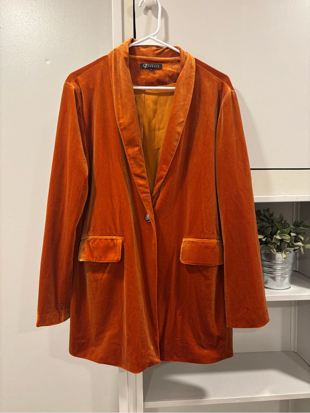 Cezele Rust Orange Velvet Single-Button Blazer